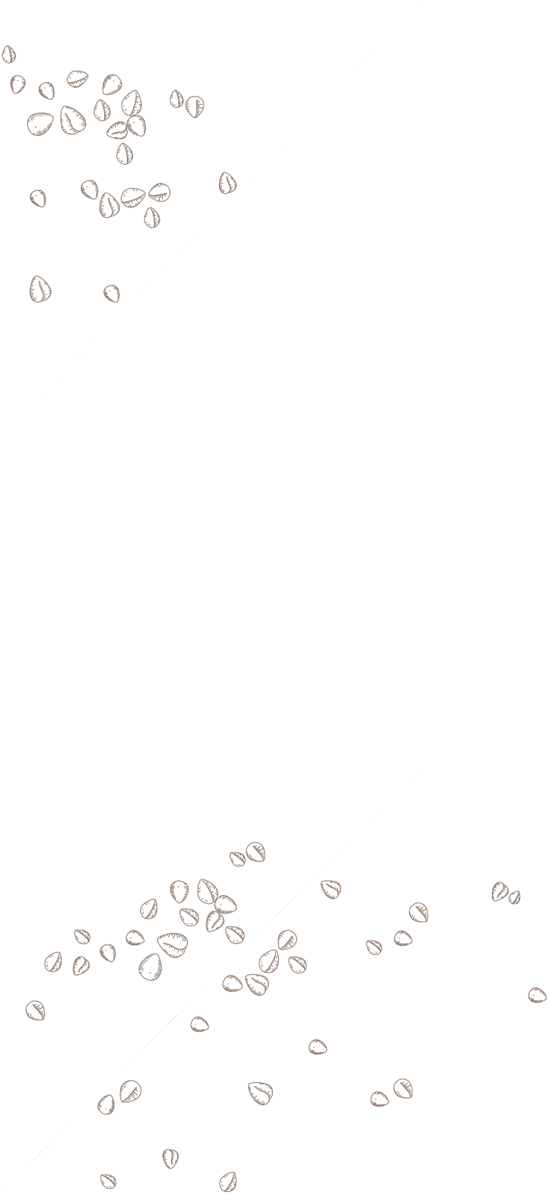MO_00619